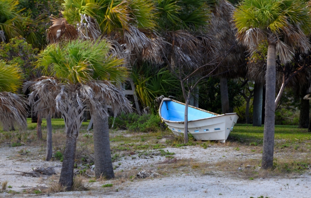 Photos/peanut_island/DSC_4589.JPG