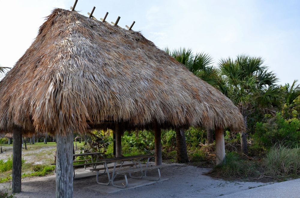 Photos/peanut_island/DSC_4590.JPG