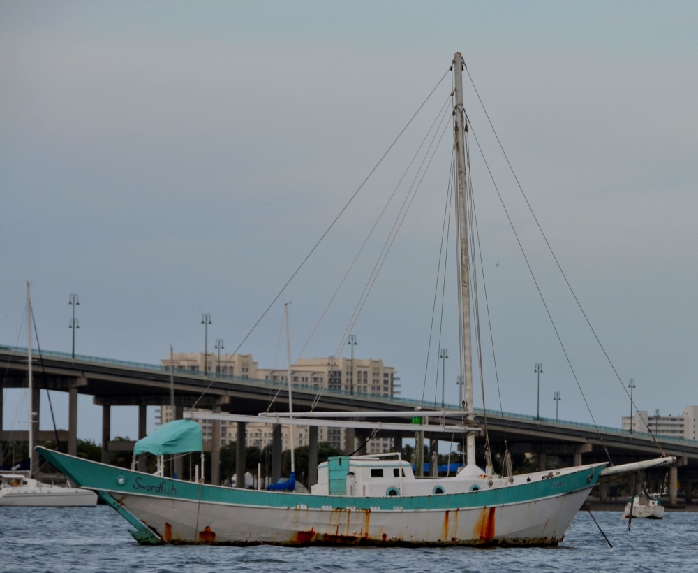 Photos/peanut_island/DSC_4682.JPG